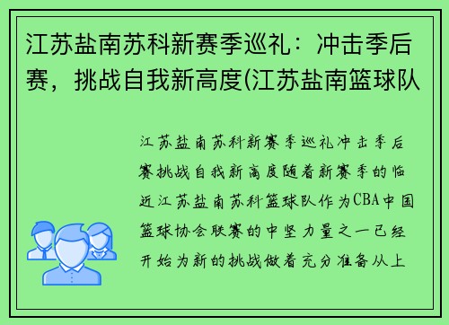 江苏盐南苏科新赛季巡礼：冲击季后赛，挑战自我新高度(江苏盐南篮球队队员名单)